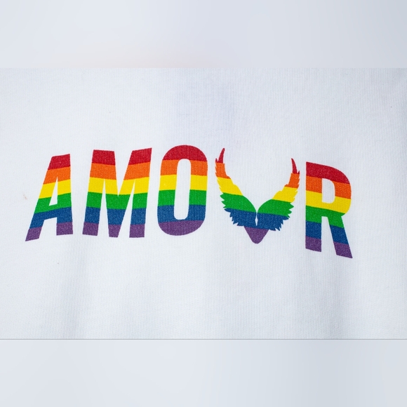 NWT Zadig & Voltaire hoodie sweatshirt Sanchi Amour wings S - Picture 5 of 11